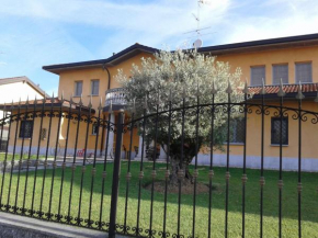Отель B&B One M  Берегуардо